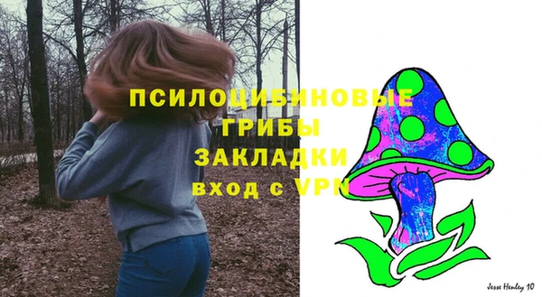 герыч Бронницы